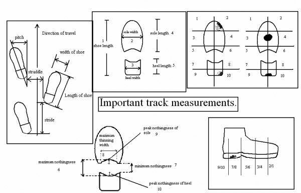 Important Track Measurements